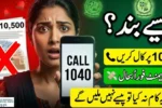 1040 Maryam Nawaz Program 2026 Payments Restored via Helpline