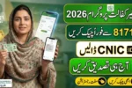 Benazir Payment Check Online 2026 — Easy CNIC & SMS Guide